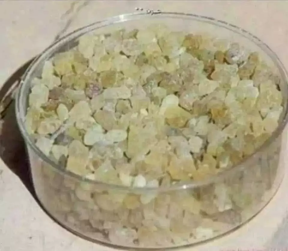 لبان الذكر