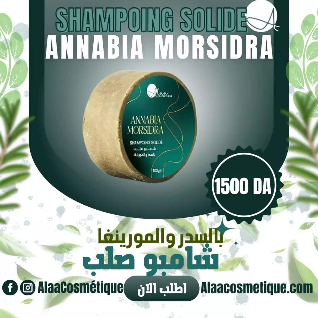 شامبو أنابيا مورسيدرا الصلب 