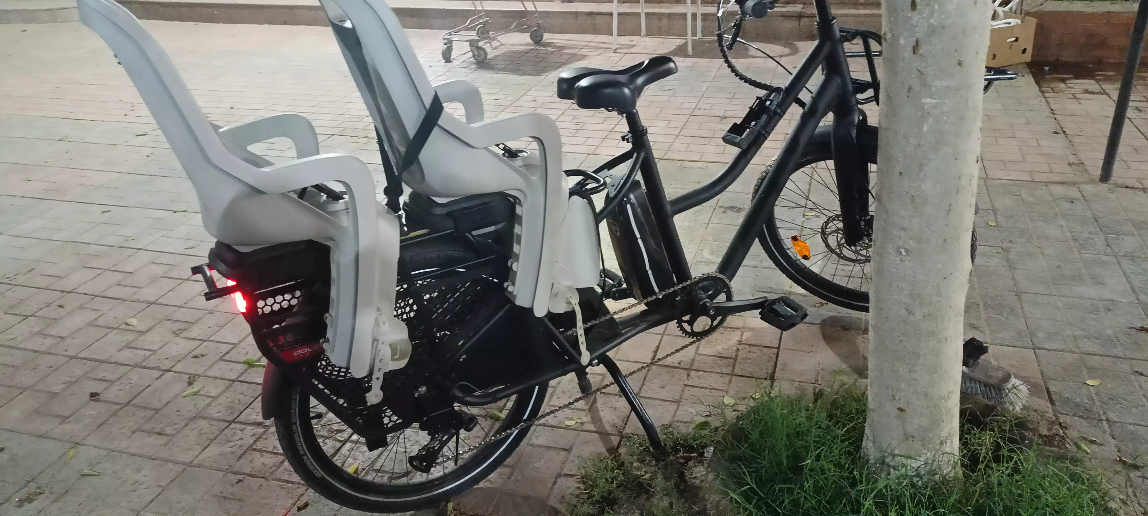 Cargo douze cycle LT1