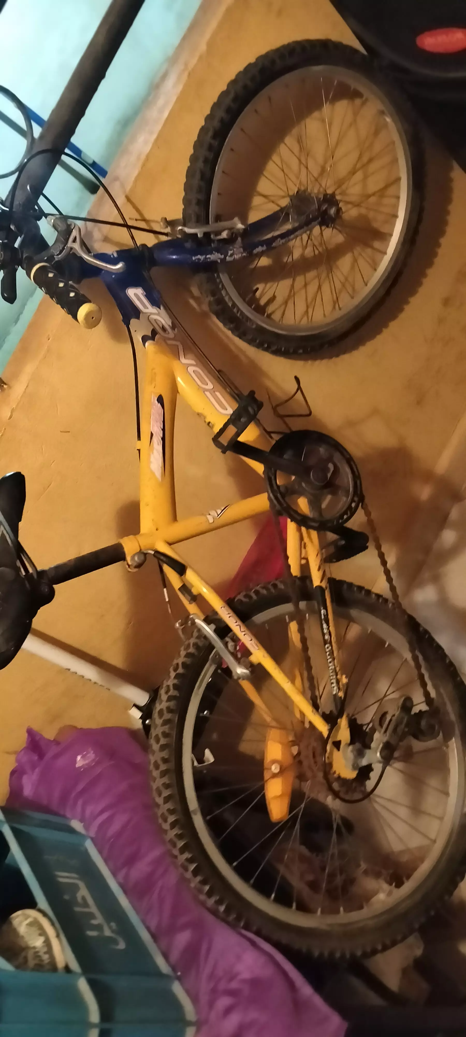 دراجة هوائية