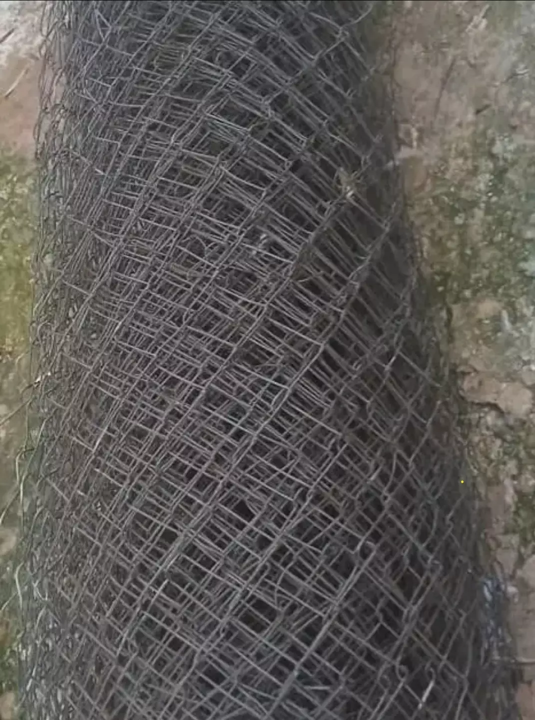 قارياج